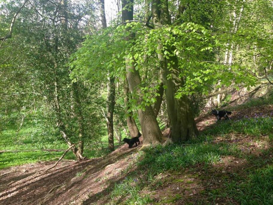 Bumblebee Cottage - Cosy Cottage In Area Of Outstanding Natural Beauty Hemel Hempstead Buitenkant foto